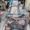 International DT466 EGR Engine Assembly thumbnail 9