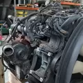International DT466 EGR Engine Assembly thumbnail 14