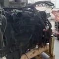 International DT466 EGR Engine Assembly thumbnail 7