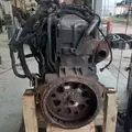 International DT466 EGR Engine Assembly thumbnail 10