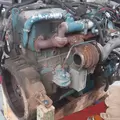 International DT466 EGR Engine Assembly thumbnail 8