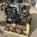 International DT466 EGR Engine Assembly thumbnail 4