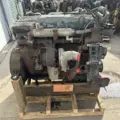International DT466 EGR Engine Assembly thumbnail 7