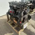 International DT466 EGR Engine Assembly thumbnail 8