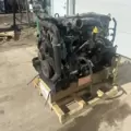 International DT466 EGR Engine Assembly thumbnail 3
