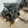 International DT466 EGR Engine Assembly thumbnail 5