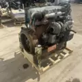 International DT466 EGR Engine Assembly thumbnail 7