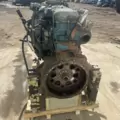 International DT466 EGR Engine Assembly thumbnail 8