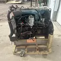 International DT466 EGR Engine Assembly thumbnail 11