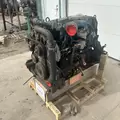 International DT466 EGR Engine Assembly thumbnail 12