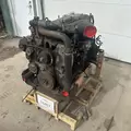 International DT466 EGR Engine Assembly thumbnail 13