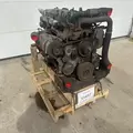 International DT466 EGR Engine Assembly thumbnail 3