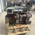 International DT466 EGR Engine Assembly thumbnail 5