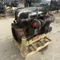 International DT466 EGR Engine Assembly thumbnail 6