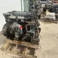 International DT466 EGR Engine Assembly thumbnail 3
