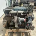 International DT466 EGR Engine Assembly thumbnail 4