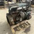 International DT466 EGR Engine Assembly thumbnail 5