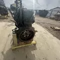 International DT466 EGR Engine Assembly thumbnail 6