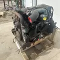 International DT466 EGR Engine Assembly thumbnail 9
