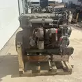 International DT466 EGR Engine Assembly thumbnail 4