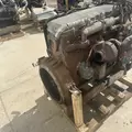 International DT466 EGR Engine Assembly thumbnail 5