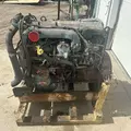 International DT466 EGR Engine Assembly thumbnail 8