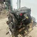 International DT466 EGR Engine Assembly thumbnail 9