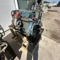 International DT466 EGR Engine Assembly thumbnail 3