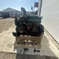 International DT466 EGR Engine Assembly thumbnail 6