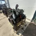 International DT466 EGR Engine Assembly thumbnail 7