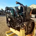International DT466 EGR Engine Assembly thumbnail 13