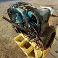 International DT466 EGR Engine Assembly thumbnail 14