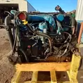 International DT466 EGR Engine Assembly thumbnail 15