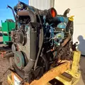 International DT466 EGR Engine Assembly thumbnail 17