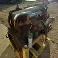International DT466 EGR Engine Assembly thumbnail 10
