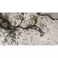 International DT466 EGR Engine Wiring Harness thumbnail 4