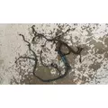 International DT466 EGR Engine Wiring Harness thumbnail 8