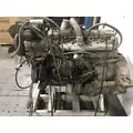 International DT466B Engine Assembly thumbnail 4