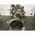 International DT466B Engine Assembly thumbnail 5