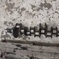 International DT466E Crankshaft thumbnail 4