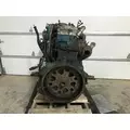 International DT466E Engine Assembly thumbnail 4