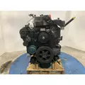 International DT466E Engine Assembly thumbnail 11