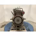 International DT466E Engine Assembly thumbnail 6