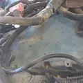 International DT466E Engine Assembly thumbnail 19