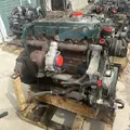 International DT466E Engine Assembly thumbnail 2