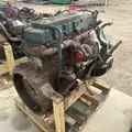 International DT466E Engine Assembly thumbnail 3