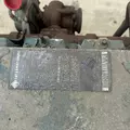 International DT466E Engine Assembly thumbnail 8