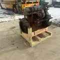 International DT466E Engine Assembly thumbnail 7