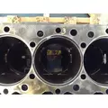 International DT466E Engine Block thumbnail 11