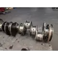 International DT466 Crankshaft thumbnail 7